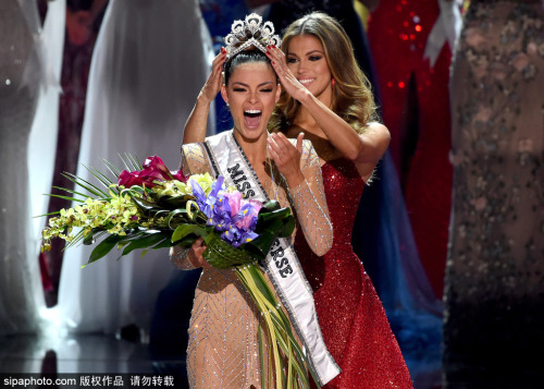 IM体育社区互动入口-南非游泳冠军迎来好运！实现梦想