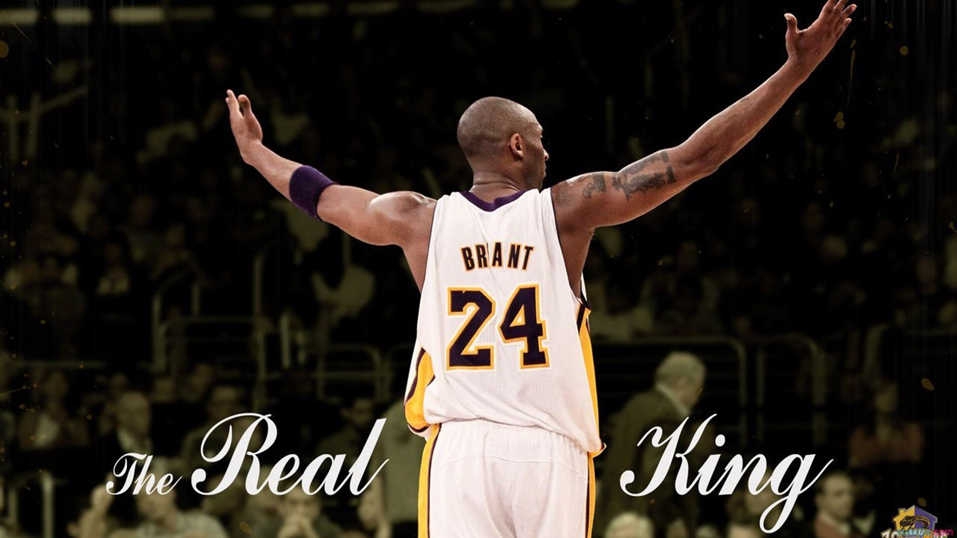 赛道上的火焰,哈斯逆转索伯,勒克莱尔点燃赛场